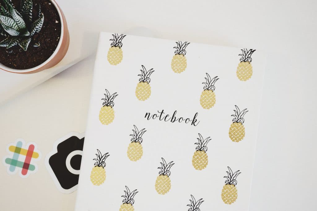 En ananas notesbog til Curly Girl Metoden bloggen