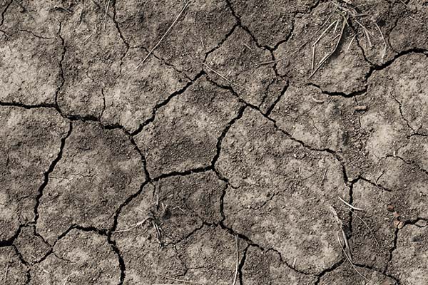 Dry soil by Maud CORREA on Unsplash