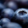 blueberries-g7f8912382_640