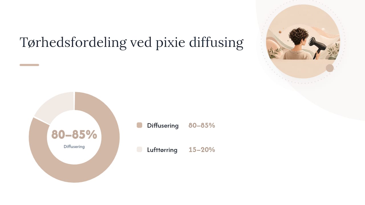 Hvad er pixie diffusing, og hvordan gør du det trin for trin? — overview diagram
