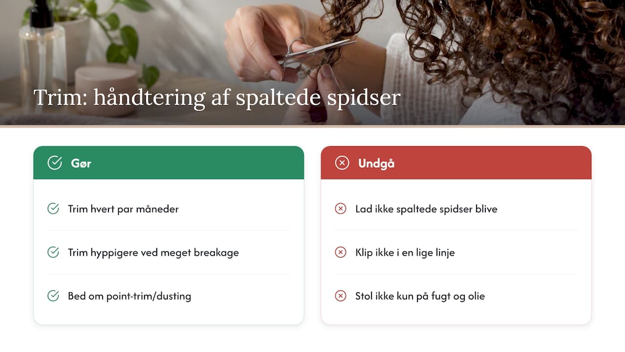Trim: hvordan du håndterer allerede spaltede spidser — overview diagram