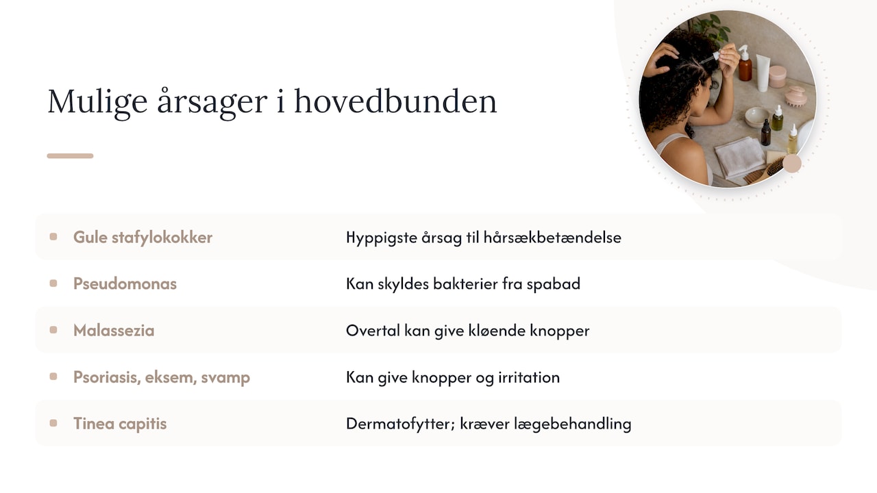 Hvorfor får man bumser i hårbunden? — overview diagram