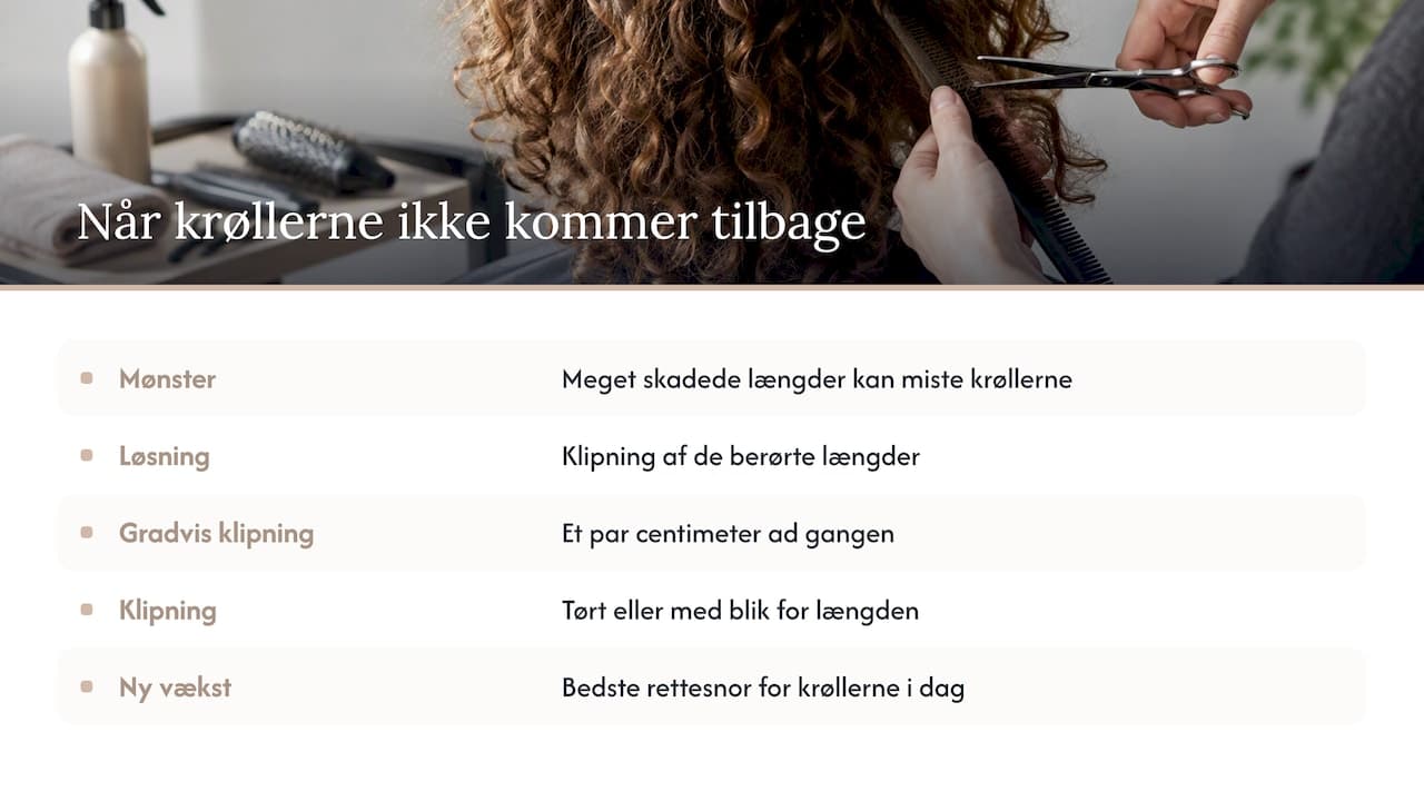 Når krøllerne ikke kommer tilbage — overview diagram