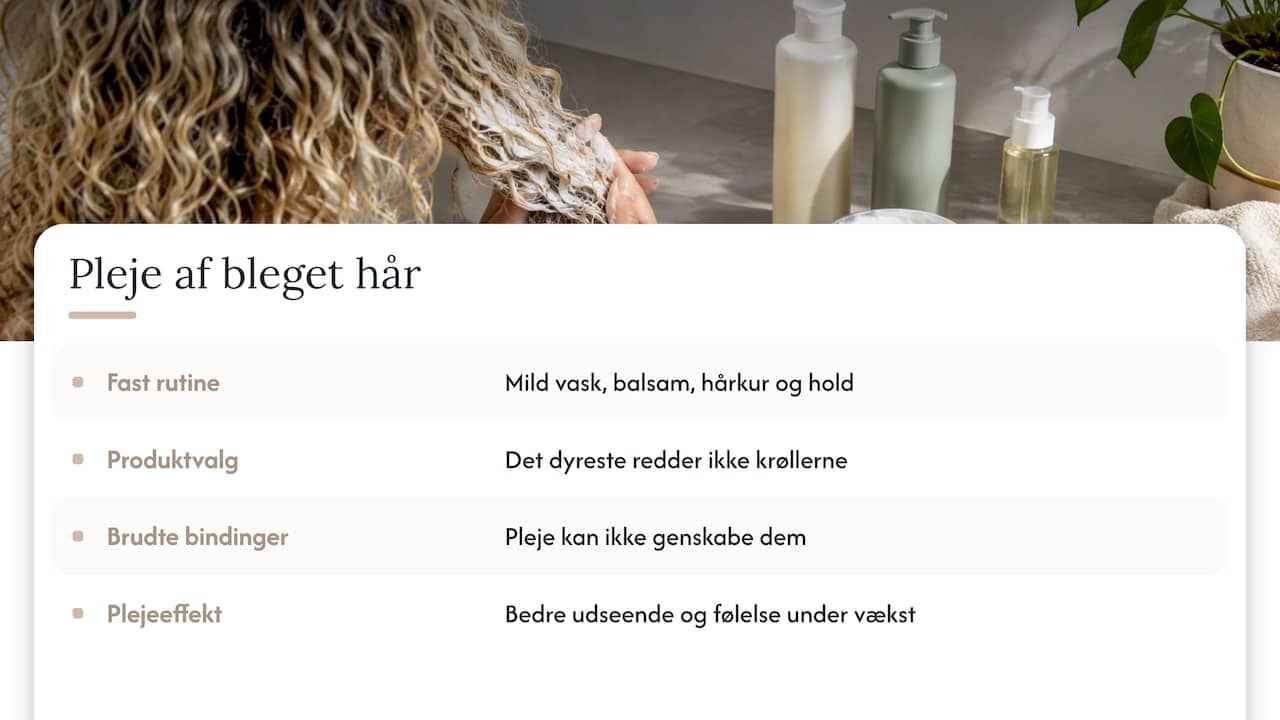 Sådan ser vi på bleget krøllet hår — overview diagram