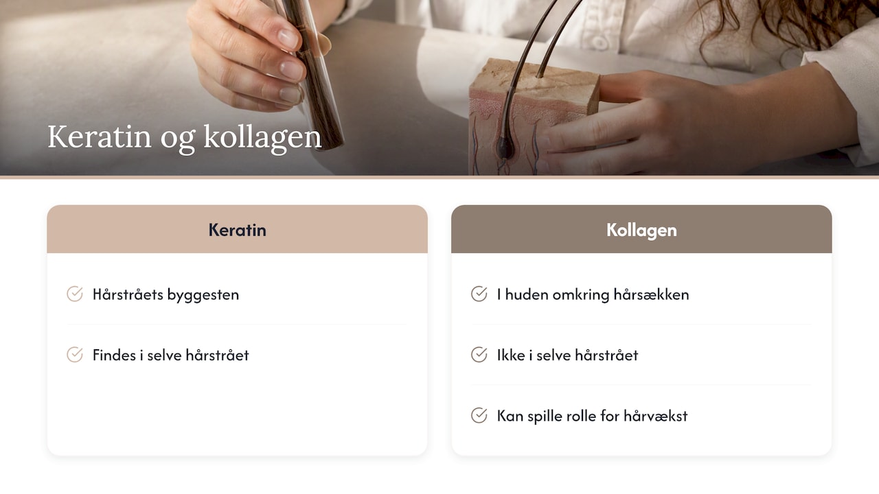 Keratin i hårstrået og kollagen omkring hårsækken