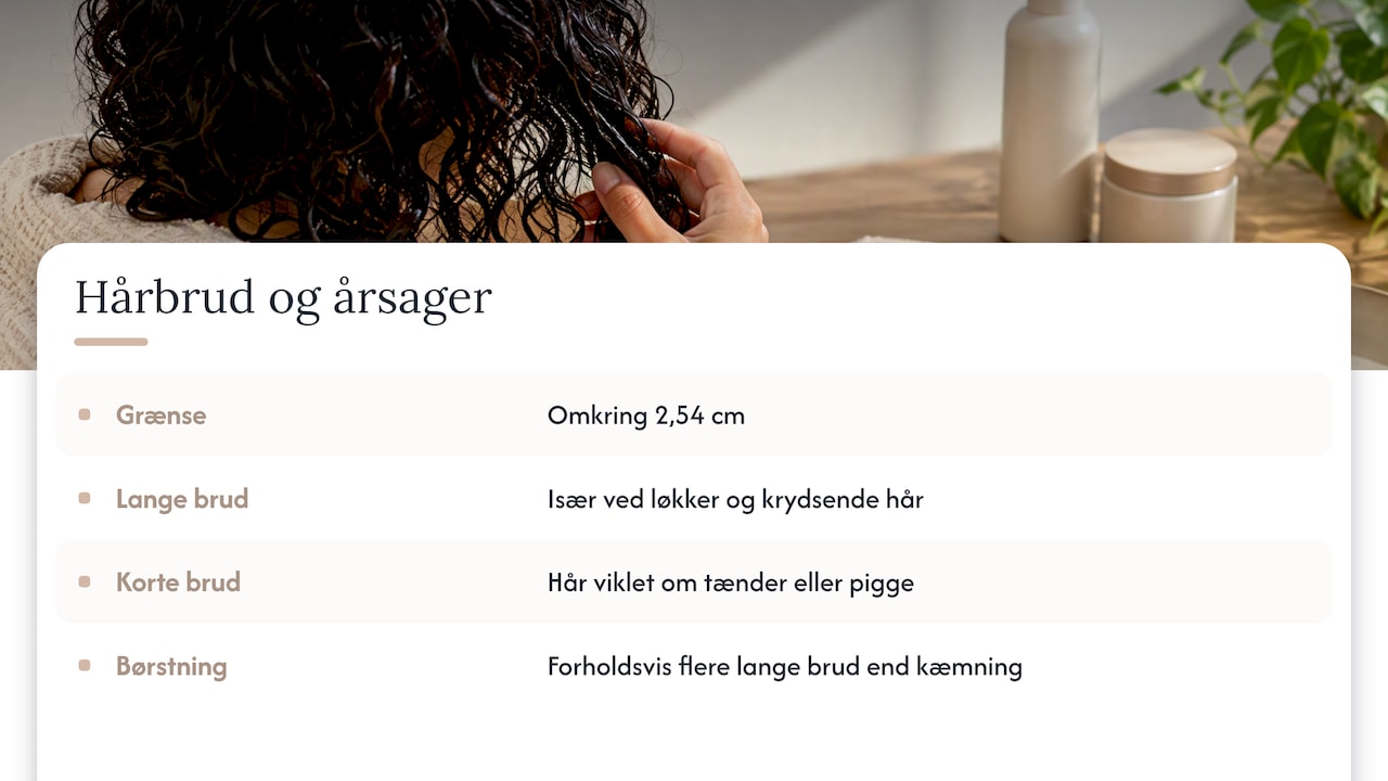 Hvad forskningen siger om hårbrud